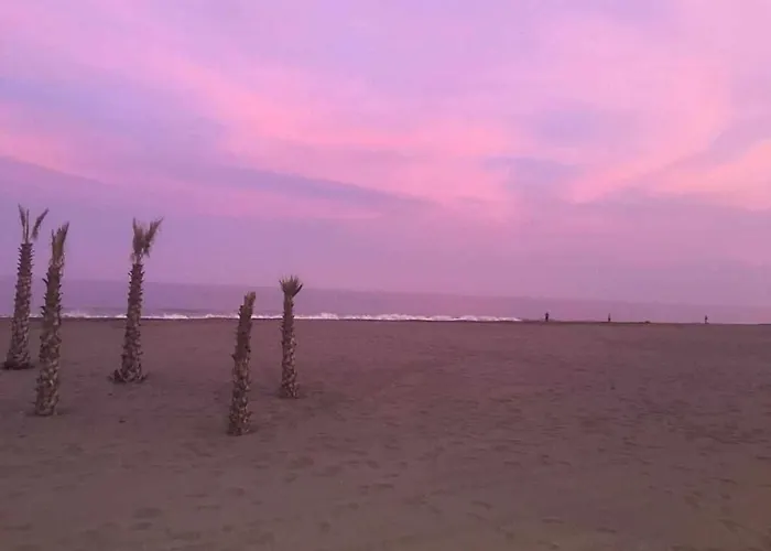 Chicflat San Roque Estepona. Reformado En 2025 公寓 *